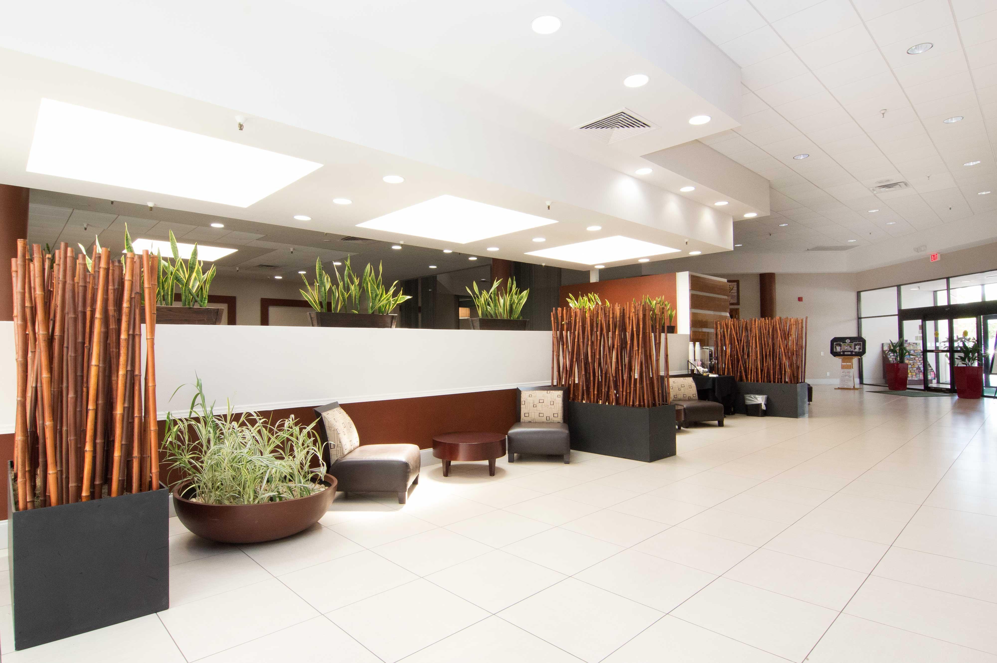 Holiday Inn St. Petersburg N - Clearwater, An Ihg Hotel Bagian luar foto
